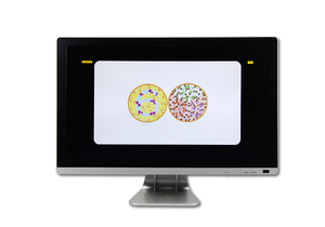 Instrumentos ópticos Lcd Gráfico visual Prueba de visión ocular Monitor de agudeza Apariencia MAC Gráfico de visión Proyector - Product Image 3
