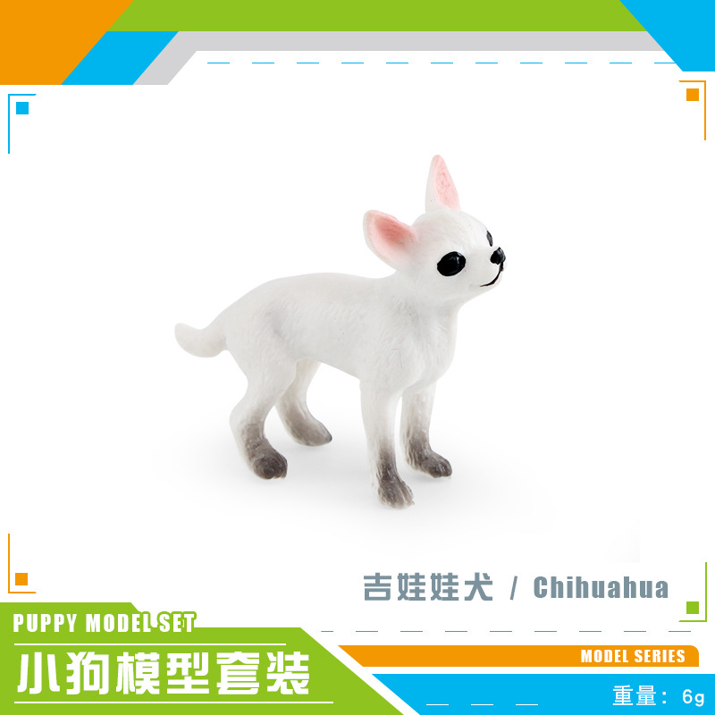 PL127-2589 Chihuahua 6g