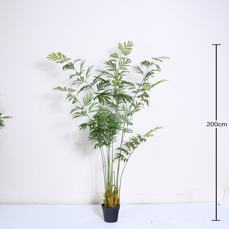 200cm