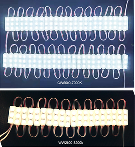 ホット販売0.48W12VミニLEDモジュール高ルーメン3SMD 2835 IP67 LEDモジュール160度照明 - Product Image 6