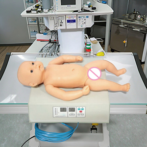 <strong>Computer</strong> Model of Infant Heart and Lung Auscultation Microcomputer Display Board - Product Image 6