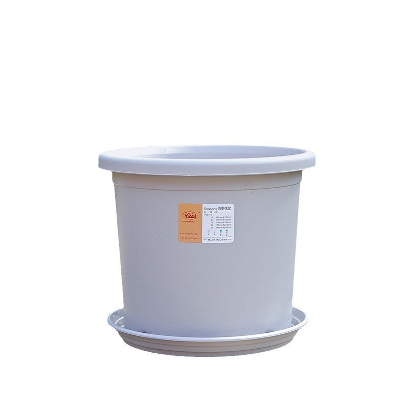 plateau gris-blanc
