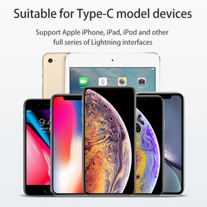 迷你铝制C型公到8针母连接器适配器Usb C USB C到8针适配器转换器 - Product Image 6