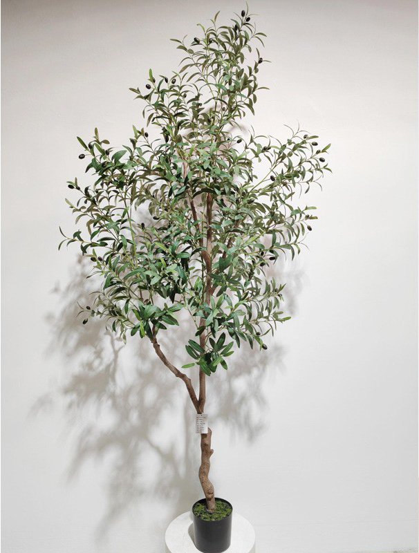 Green 210cm (Detachable Version)