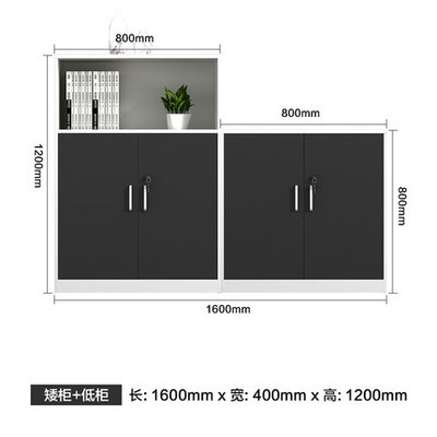 Low cabinet