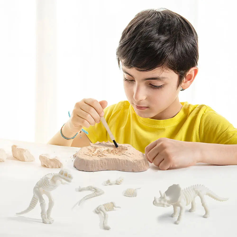 Atacado Brinquedos De Escavação De Dinossauros, brinquedo De Escavação De Fósseis Premium Dinossauros Cavar Dinossauros Fósseis Brinquedos