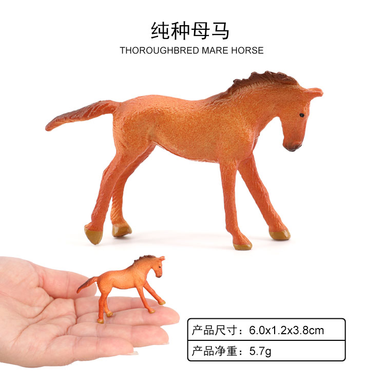 2026 Hembra de Caballo de Raza Pura