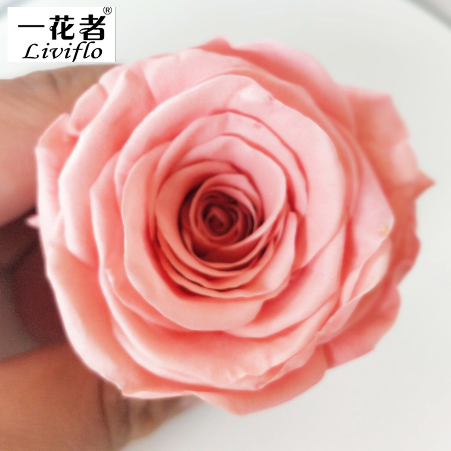 peach pink