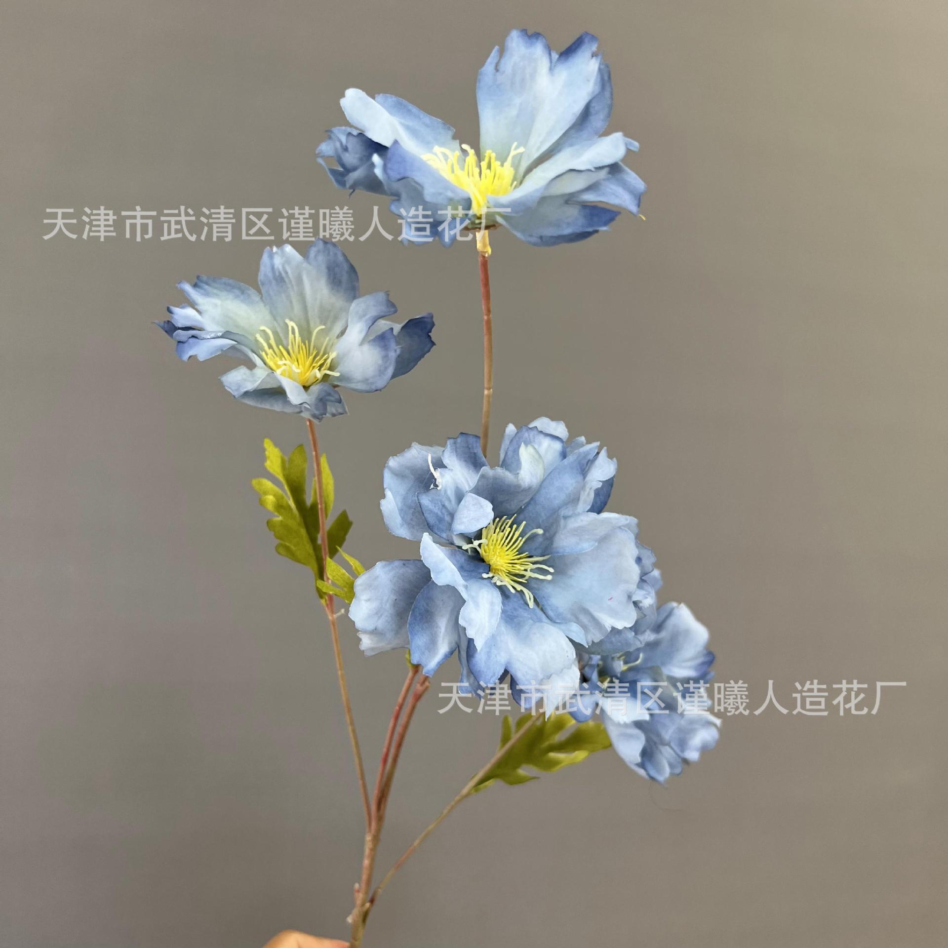 Fleur de marée bleue