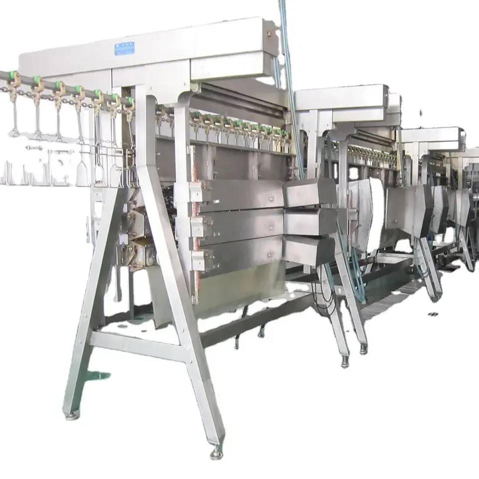 automatic Poultry farm agriculture chicken quail goose turkey slaughterhouse processing plant equipment