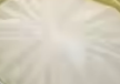 Milk White