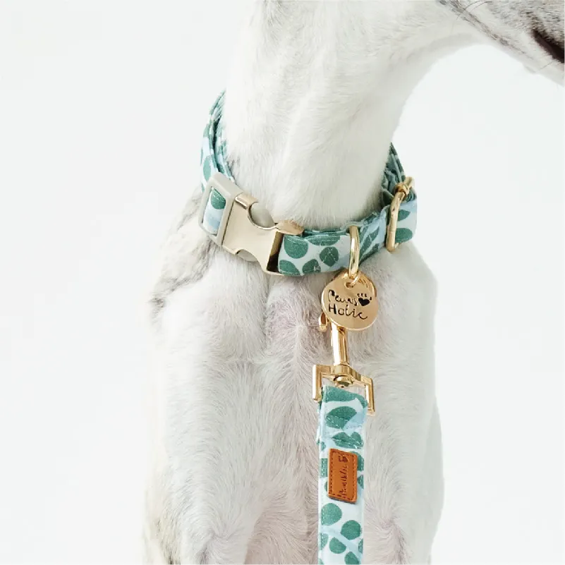 Роскошный кожаный ошейник и поводок для собак с металлической пряжкой и цветочным принтом