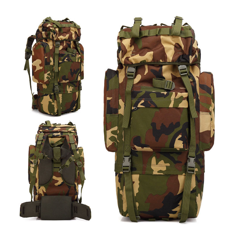 Camo de La Selva