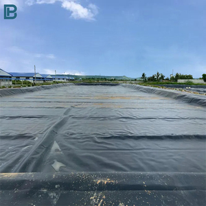 Su geçirmez baraj rezervuar gömlekleri balık çiftliği tankı için HDPE geomembran su ürünleri yetiştiriciliği için 0.3mm-1.2mm polietilen - Product Image 1