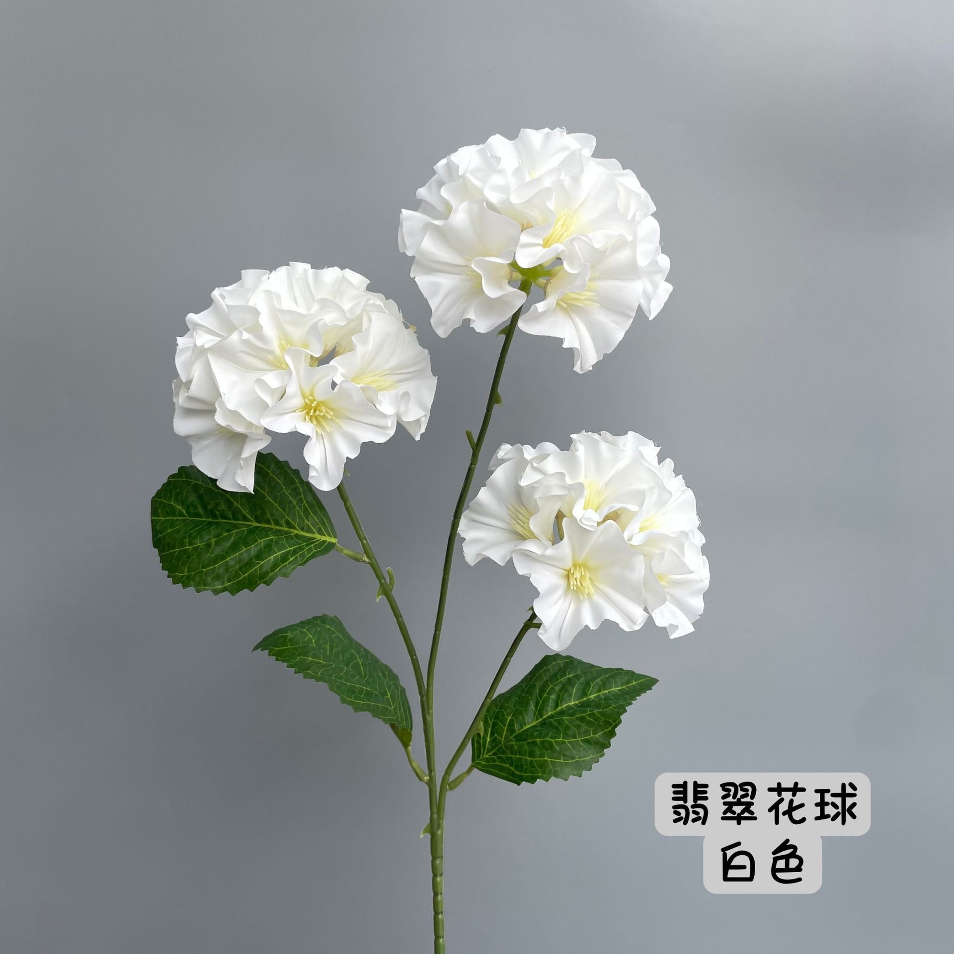 Blanc