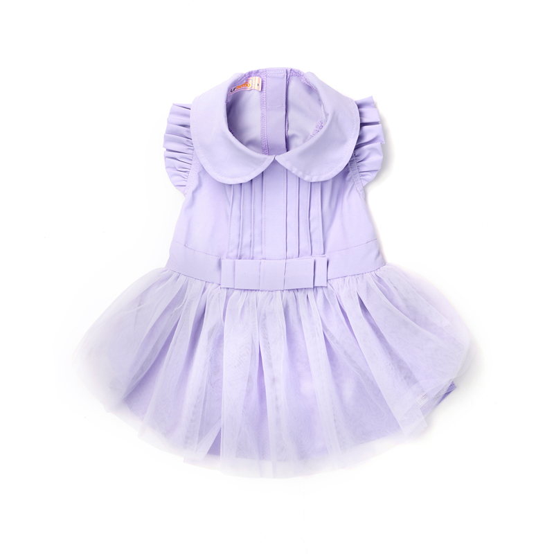 VIOLETA