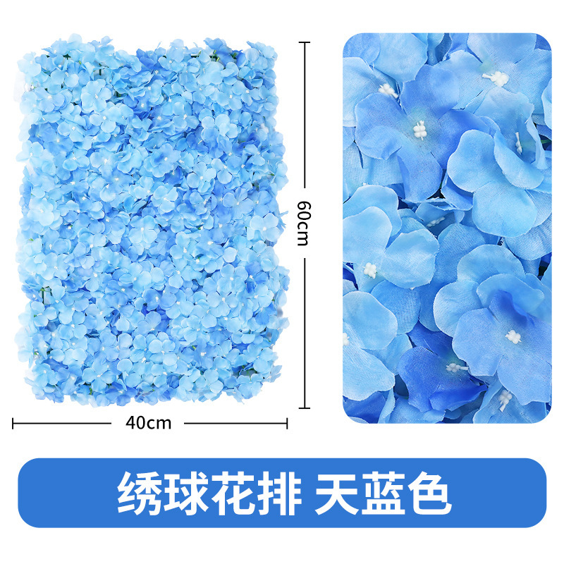 Rangée d'hortensias, bleu ciel