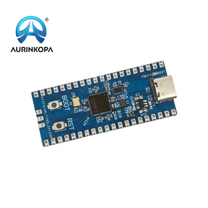 Ahududu Pi Pico2 Onboard Pico2-RP2350 tip-c portu ile uyumlu ahududu Pi FLASH-W25Q16JVUXIQ geliştirme kurulu