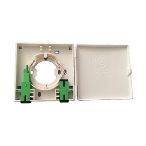 86-Typ-Innen-Glasfaser-Auslassbox mit 2 Ausgängen SC/APC-Adapter Nap Point Access 4G-Netzwerk-FTTH-Anschlusskasten