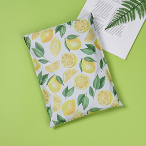 Compostable Polly Mailer yüksek kaliteli parsel çanta dayanıklı kendinden yapışkanlı Express posta çantaları toplu için ceket/kazak - Product Image 2