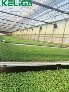 Hot Selling Hot-Dip Galvanized Structure Glass Greenhouse - Product Image 3