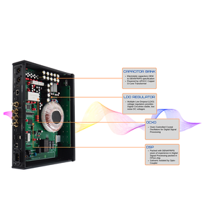 Denafrips GAIA 12th DDC Interface <strong>Digital</strong> USB Coaxial AES EBU OCXO Crystal Oscillator Clock <strong>Input</strong> IIS I2S RJ45 <strong>Output</strong> - Product Image 3
