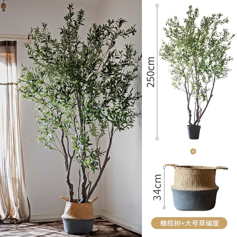 Cesta de paja-250cm