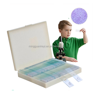 Portaobjetos de microscopio biológico: especímenes preparados para observar células animales y vegetales, bacterias y experimentos de laboratorio - Product Image 3