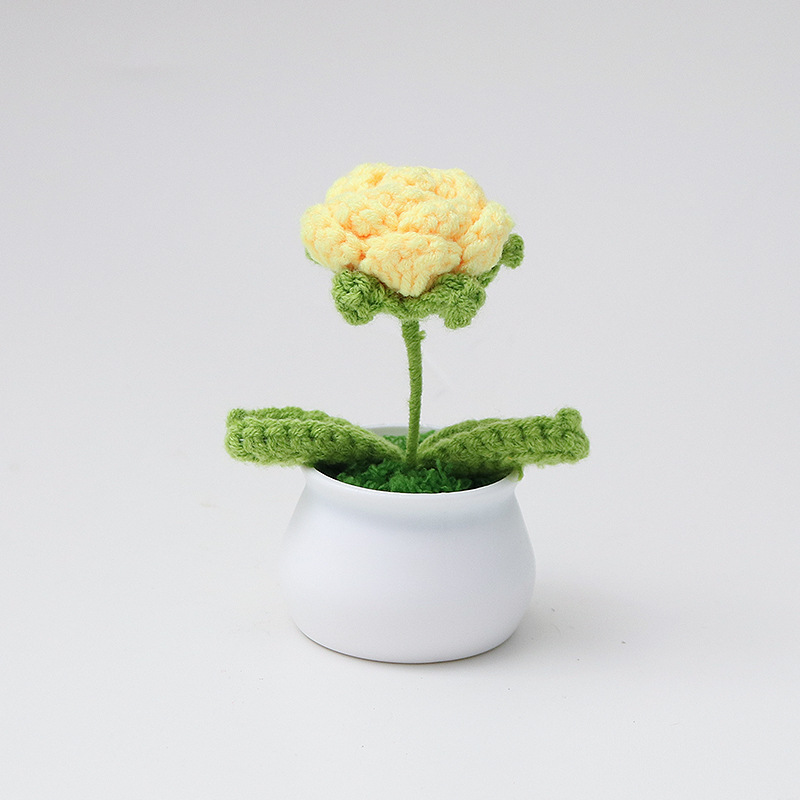 Rosa singolo fiore giallo oca-66 bocciolo foglia verde-48 bianco porce