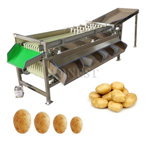 High Quality <strong>Dates</strong> <strong>Sorting</strong> <strong>Machine</strong> / Vegetable <strong>Sorting</strong> <strong>Machine</strong> / Blueberry <strong>Sorting</strong> <strong>Machine</strong> - Product Image 2