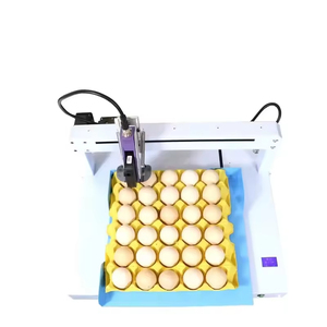 Impresora automática de inyección de tinta de huevo de un solo color para codificar la fecha de impresión y estampar el código de caducidad en metal y cajas de cartón - Product Image 4