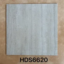 HDS662011