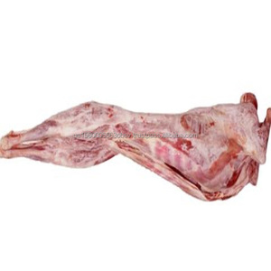 散装羊肉胎体冷冻羊肉胎体销售折扣