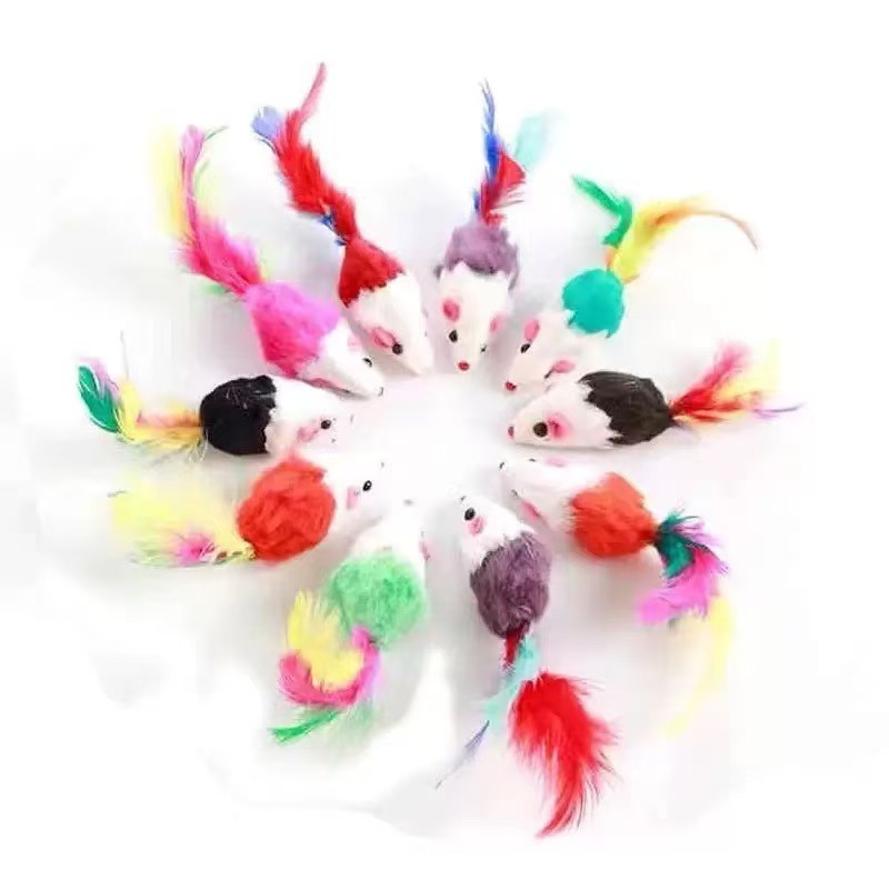 Souris à plumes colorées