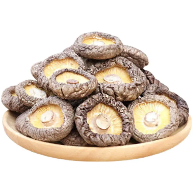 Fungo del fiore del fungo di Shiitake del fiore bianco del ceppo secco raccolto sfuso da vendere