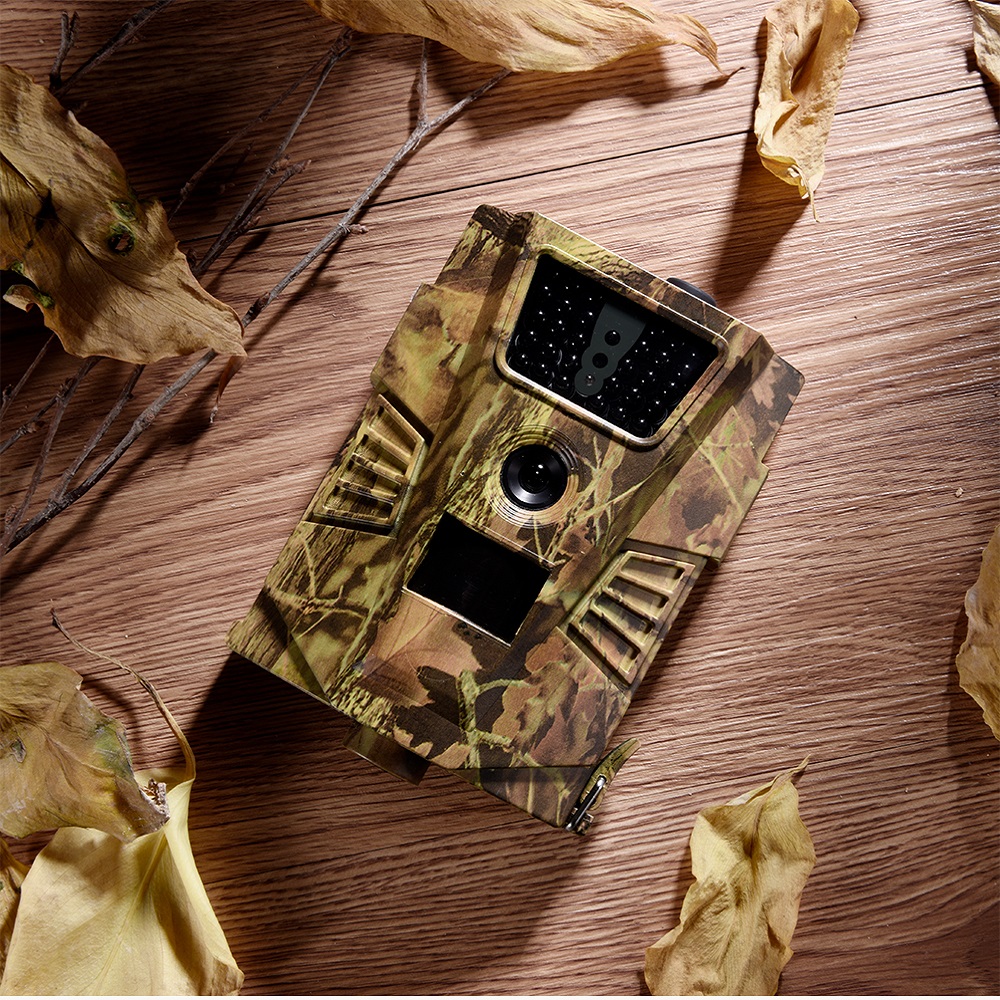 Camouflage de feuille