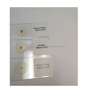 Portaobjetos de microscopio biológico: especímenes preparados para observar células animales y vegetales, bacterias y experimentos de laboratorio - Product Image 4