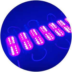 Kamyon yan ışık 24v Led modülü ışıkları Strobe lamba su geçirmez Rgb Led modülü 12 araç yan işaretleyici lamba flaş Led ışık modülü - Product Image 5
