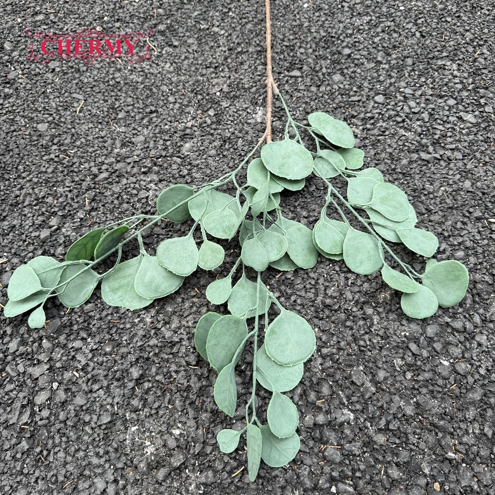 #15 Eucalyptus Vert -80cm