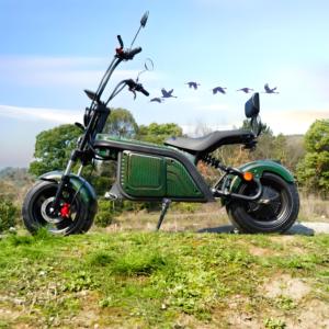 Factory Direct Hot Selling 48V 800W Small Mini Citycoco <strong>Scooter</strong> With Shock Suspension <strong>Junior</strong> Citycoco Electric <strong>Scooter</strong> C08B