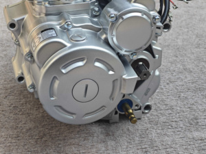 OEM Lifan เครื่องยนต์ cg200 4จังหวะชุดเครื่องยนต์คุณภาพสูงสำหรับรถสองล้อ/สามล้อ
