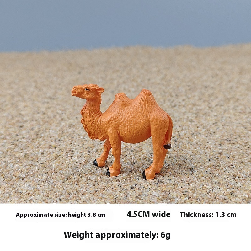Camel