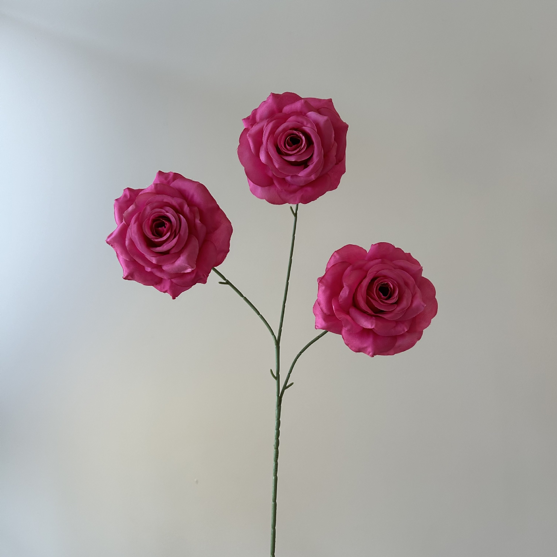 rosa 3 rosa rosso