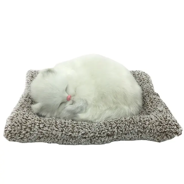 Peluche perfetto Petzzz simulazione realistica di alta qualità pelliccia di gatto decorativo gatto bianco naturale animato Unisex girasole 1 pz