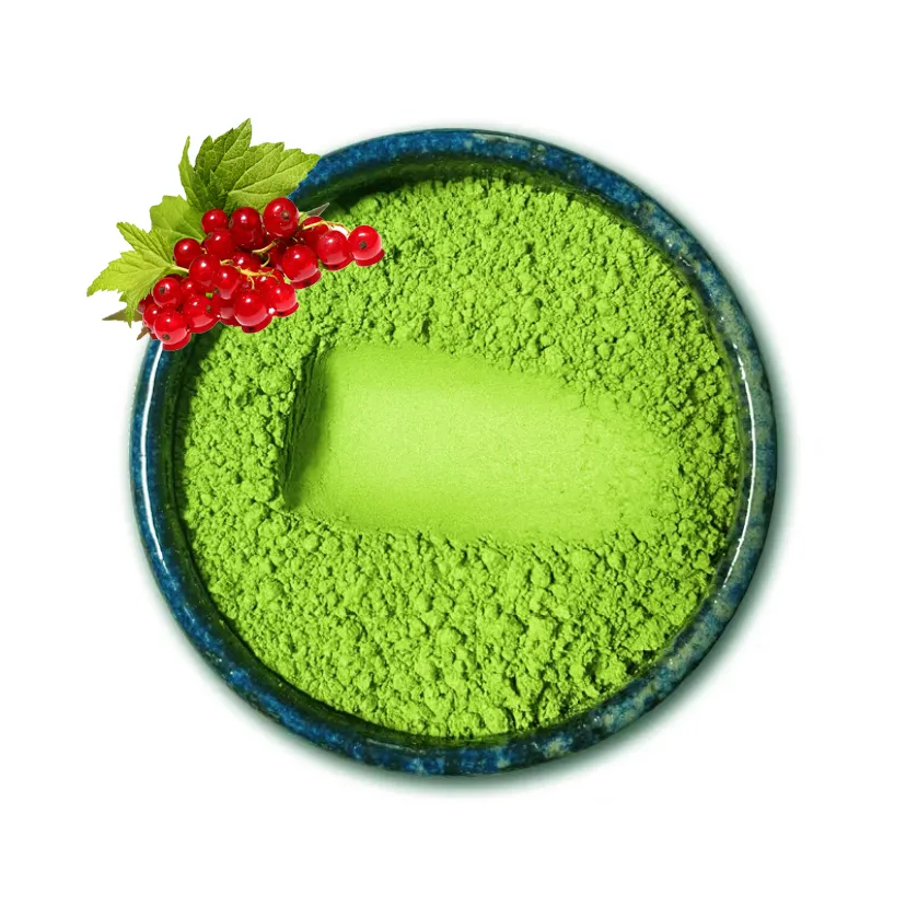 Poudre de thé vert Matcha Latte à saveur de cassis Poudre de thé vert de qualité cérémonielle biologique