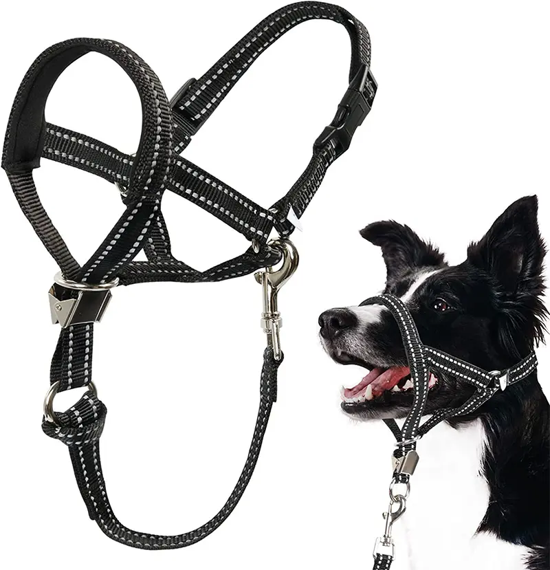 Hond Hoofd Kraag Reflecterende Duurzaam Hond Training Halter Stopt Trekken Geen Pull Zachte Hond Hoofd Halter Met Veiligheid Clip