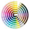 Toute couleur