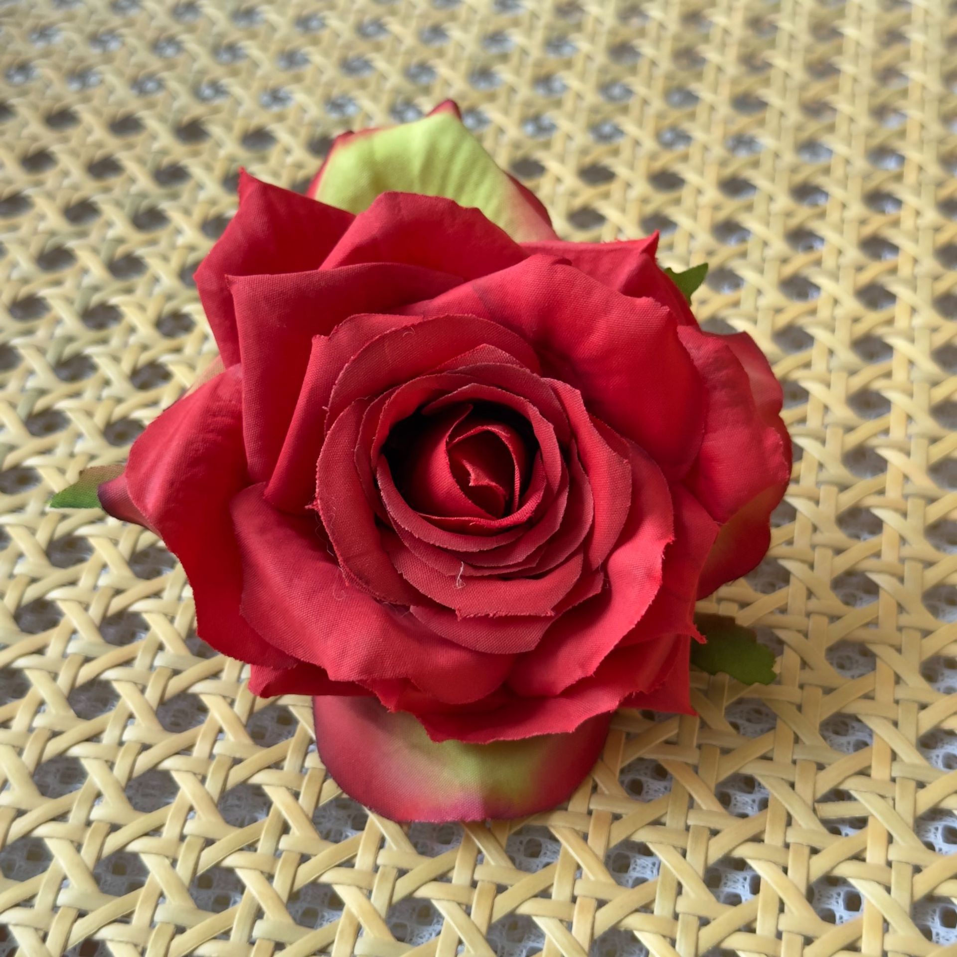Red camellia flower head