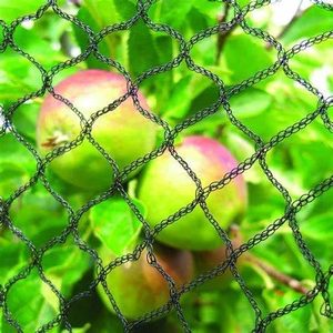 <strong>Cheap</strong> Price Knotless <strong>PP</strong> Anti Bird Protection Net Bird <strong>Netting</strong> for Fruit Trees - Product Image 6