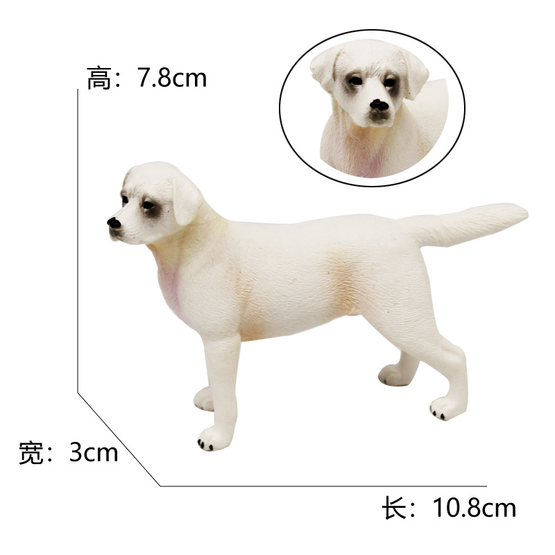 2256 labrador blanco 57g